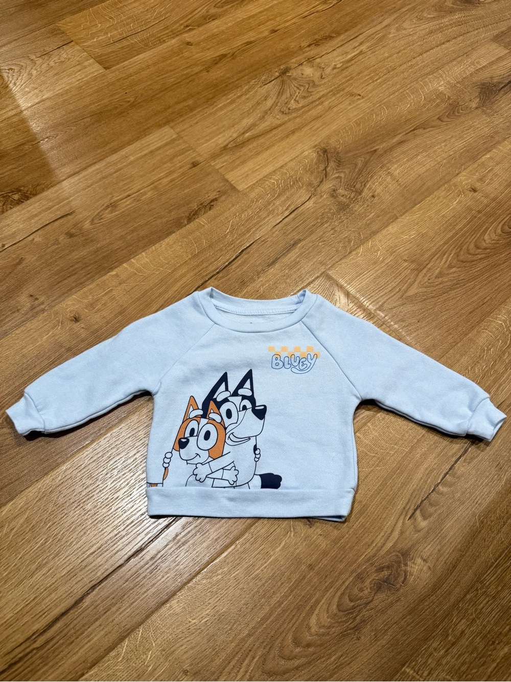 Baby Bluey Sweater